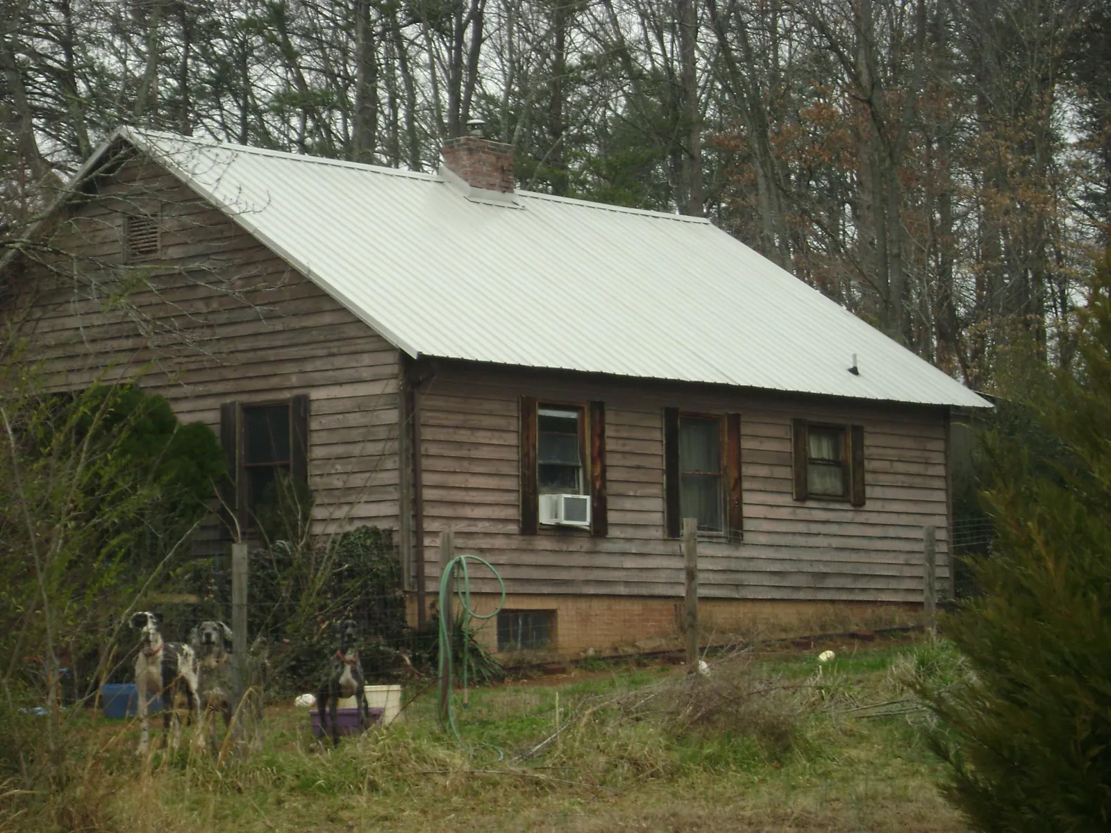 White metal roof on an old wood sided farmhouse, from a Asphalt Shingle Roof Repair job in Hume